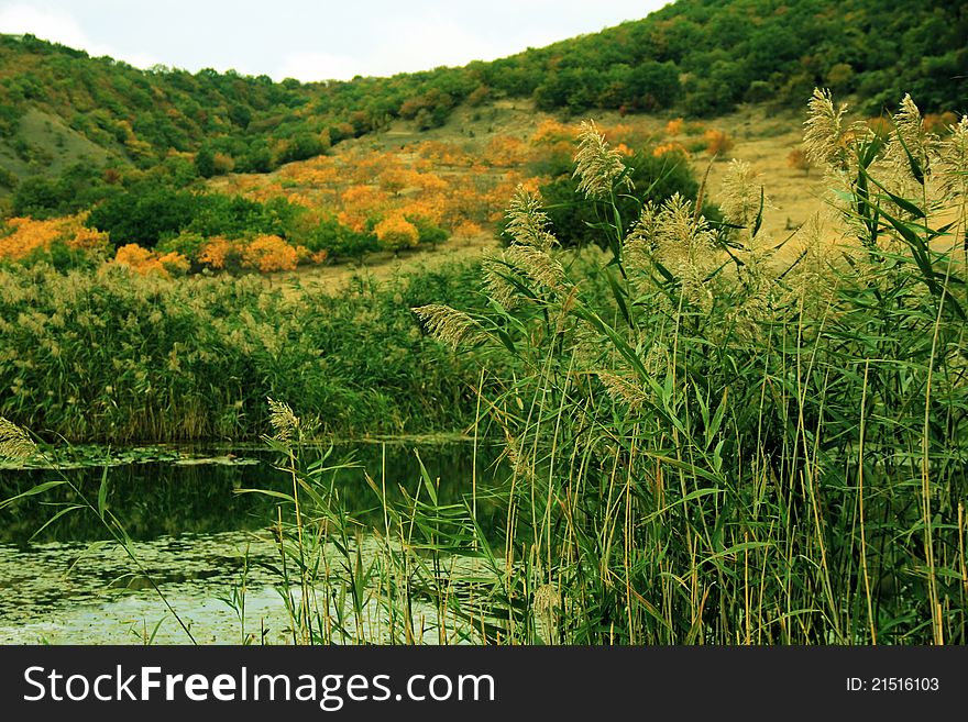 Covered grass surrounds a high mountain lake