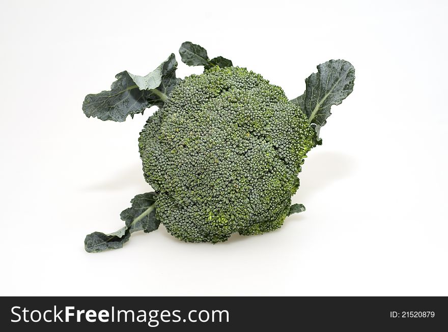 A single stalk of broccoli. A single stalk of broccoli