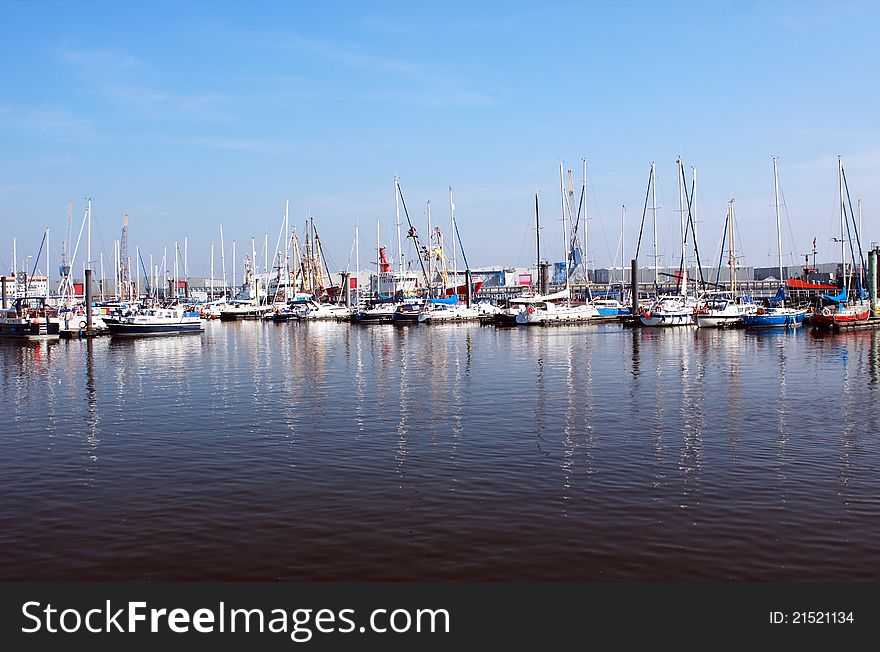 Marine dock with many yachts