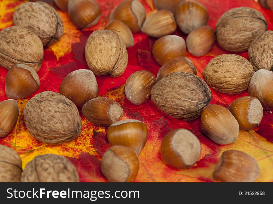 Walnuts and hazelnuts in nutshell on autumn leaves