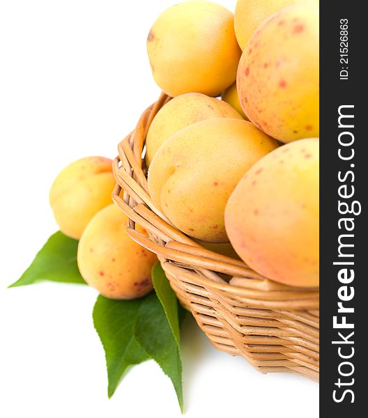 Apricots in the basket on a white background