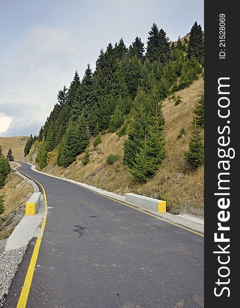 Yellow line curved road through pine forest. Yellow line curved road through pine forest