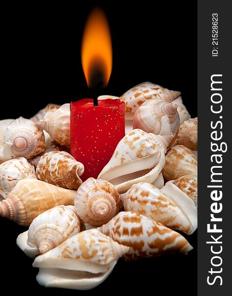 Romantic Candle Against The Shells.