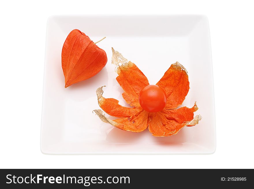 Closeup of orange fresh physalis alkekengi (chinese lanterns)