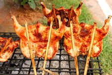 Grilled Chicken Royalty Free Stock Photography Grilled Chicken Royalty Free Stock Photography