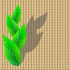 Leaves On Wicker Pattern. Royalty Free Stock Image Leaves On Wicker Pattern. Royalty Free Stock Image