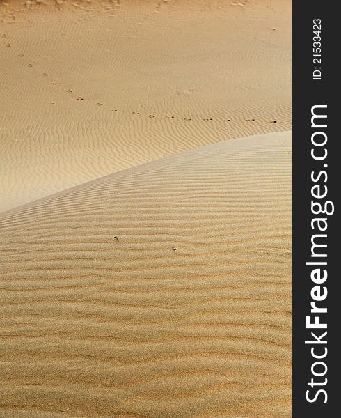 The footprint in the desert. The footprint in the desert