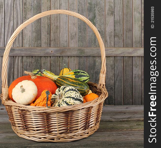 Basket of squash against a weathered fence