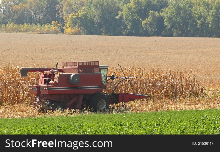 Red combine picking a field of corn. Red combine picking a field of corn