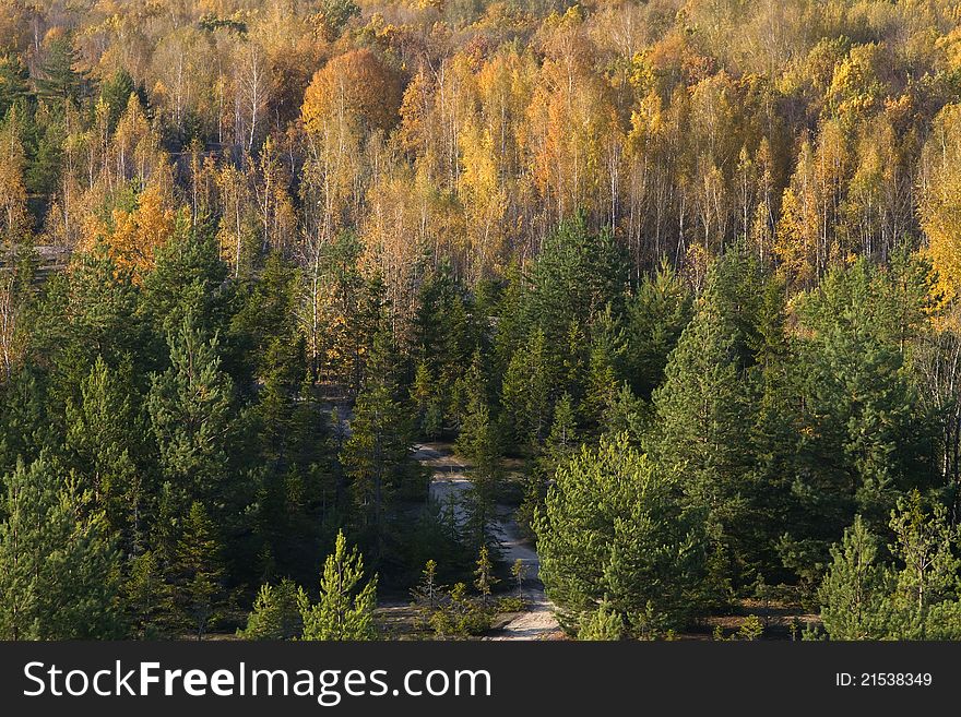 Autumn landscape, view from upper  point