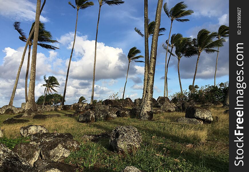 Spring At Hikinaakala Heiau In Wailua On Kauai Island, Hawaii.