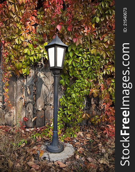Street lantern on autumn foliage