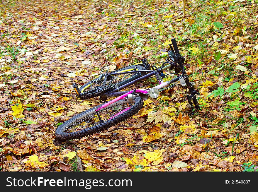 Bike in autumn background left alone. Bike in autumn background left alone