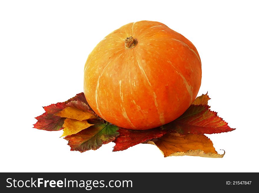 Pumpkin on leaves isolated on a white