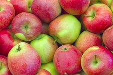 Apples At The Market Royalty Free Stock Photography