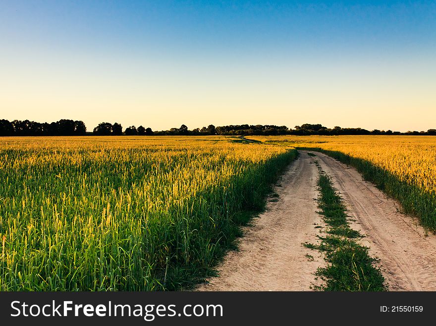 Dusty Road