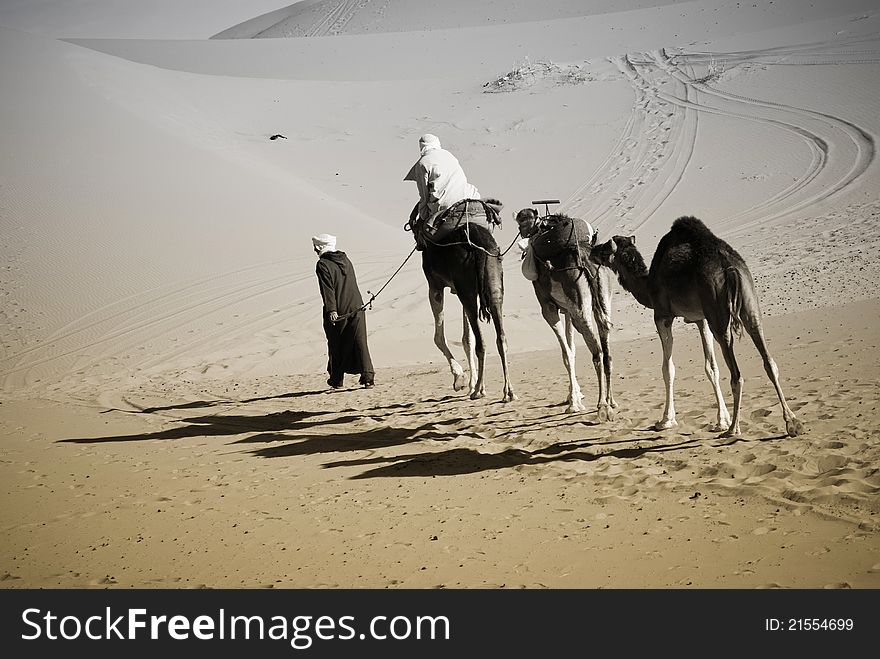Camel ride in Sahara in Morocco