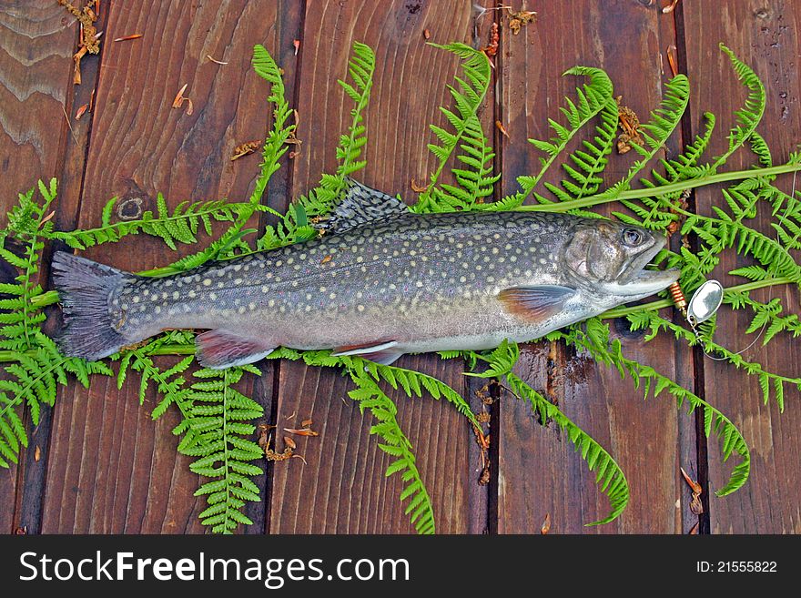 Trout On The Table