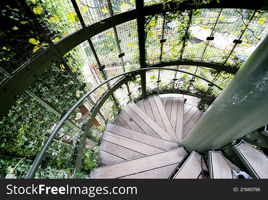 Helical staircase with the green plants outside.