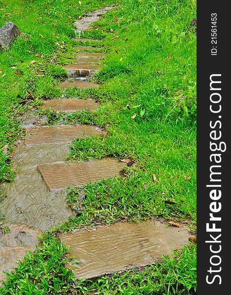 Pathway In A Green Garden