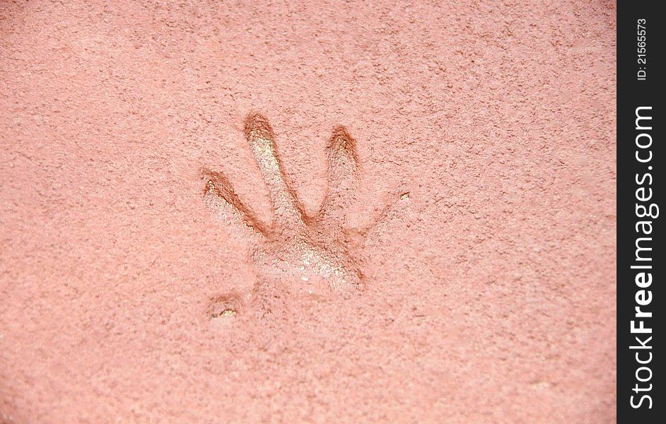 An impression of an animals finger on the concrete cement. . An impression of an animals finger on the concrete cement.