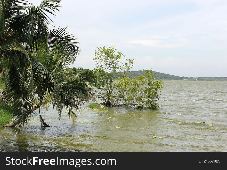 Vellayani lakes in Trivandrum, Kerala, India