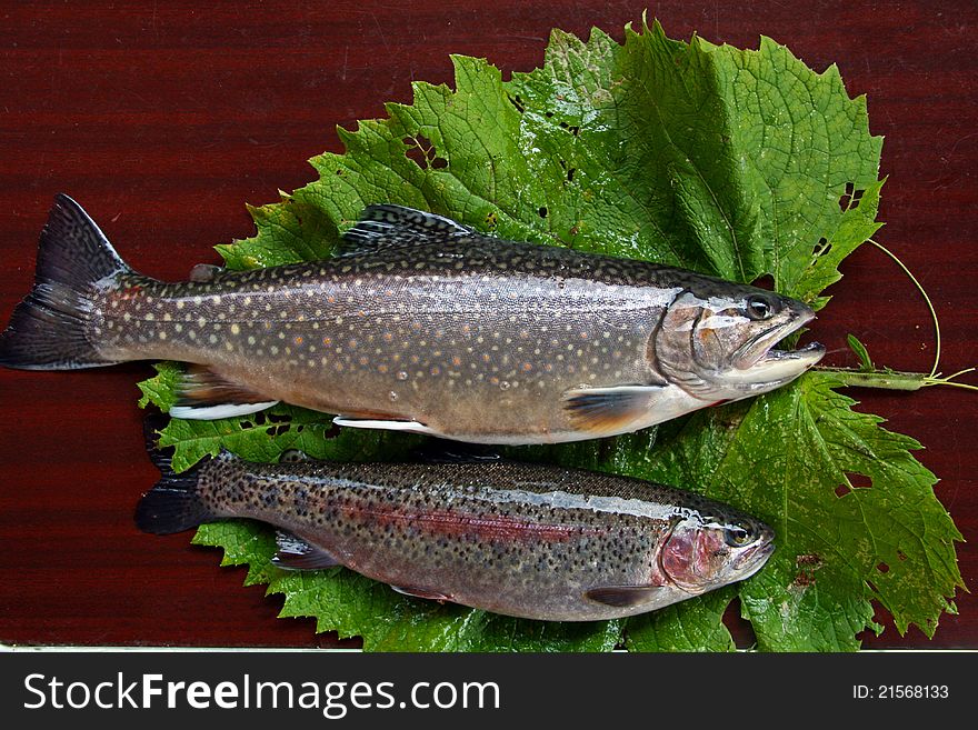 Two brown trouts on a table with leaf. Two brown trouts on a table with leaf.