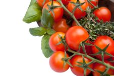 Cherry Tomatoes With Basil And Thyme Stock Image