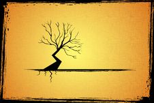 Abstract Tree Royalty Free Stock Photo