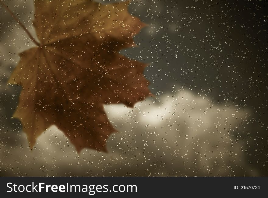 Maple leaf and raindrops on window. Autumn background. Maple leaf and raindrops on window. Autumn background.