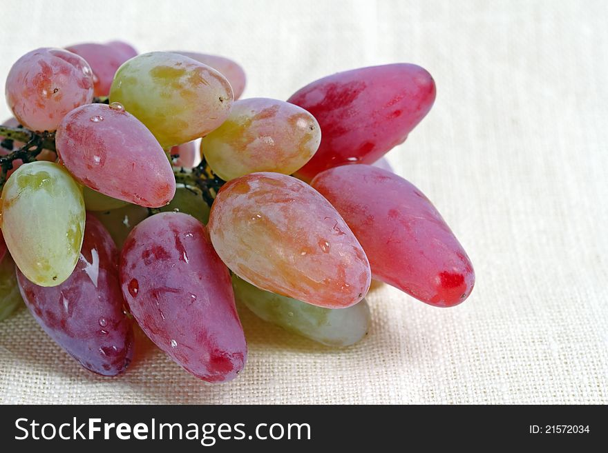 Pink ripe grape with drops of water.