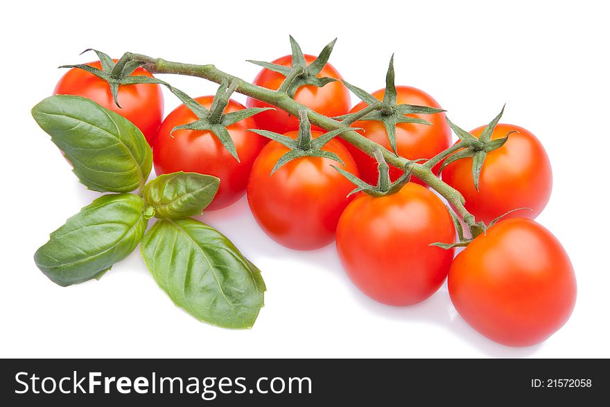 Cherry tomatoes with basil on white background