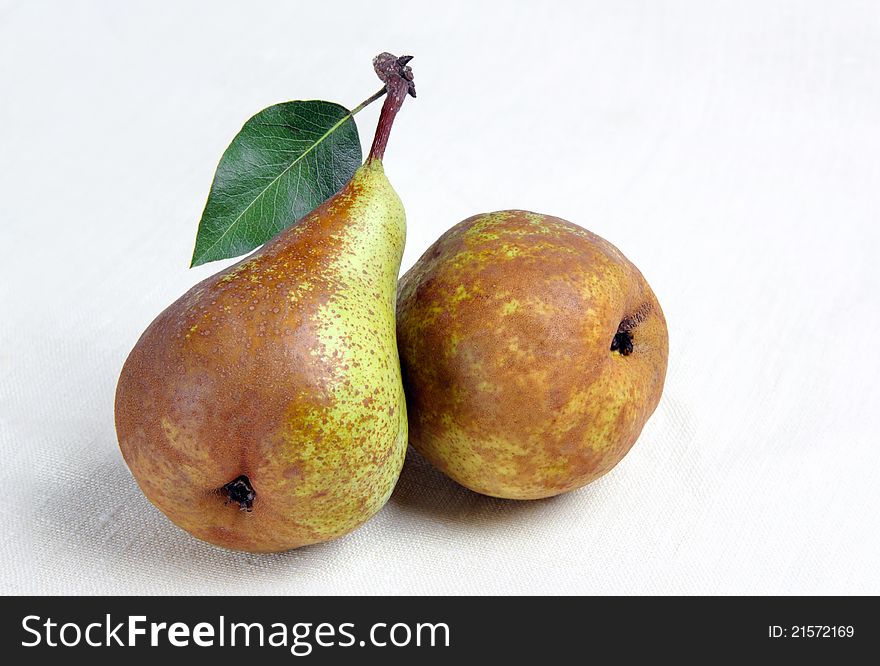 Two mature pears with sheet  on a hessian background. Two mature pears with sheet  on a hessian background