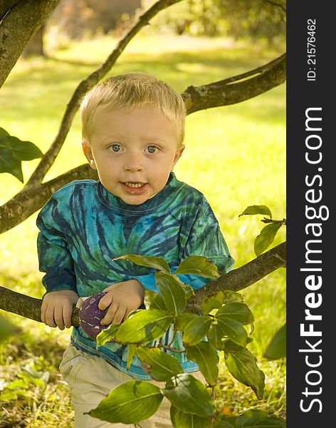 Portrait of a cute little boy standing between the branches of a small tree. Portrait of a cute little boy standing between the branches of a small tree.