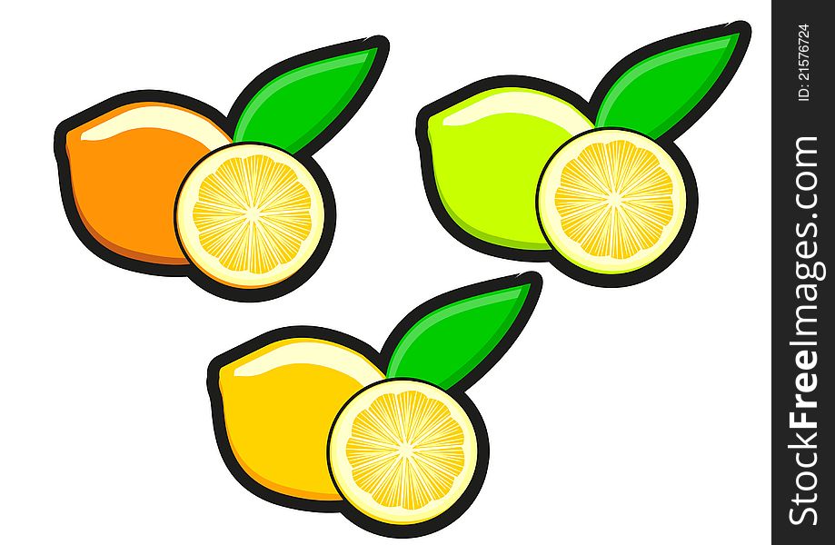 Illustration the group of lemon with different color