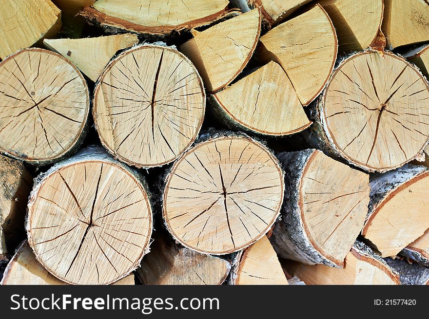 Storage Birch Logs