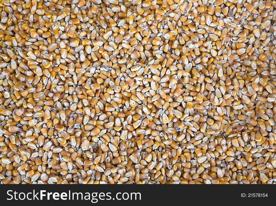 Raw Yellow Corn beans background