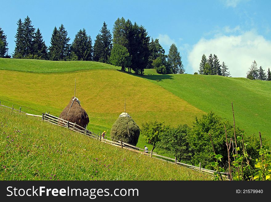 Slope on the meadow in Transylvania