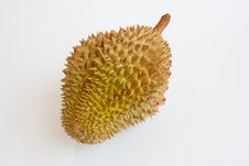 Single Whole Durian On White Background Royalty Free Stock Photography Single Whole Durian On White Background Royalty Free Stock Photography