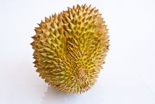 Single Whole Durian On White Background Royalty Free Stock Photos Single Whole Durian On White Background Royalty Free Stock Photos