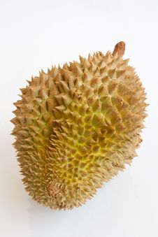 Single Whole Durian On White Background Royalty Free Stock Images Single Whole Durian On White Background Royalty Free Stock Images