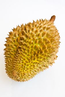 Single Whole Durian On White Background Stock Image Single Whole Durian On White Background Stock Image