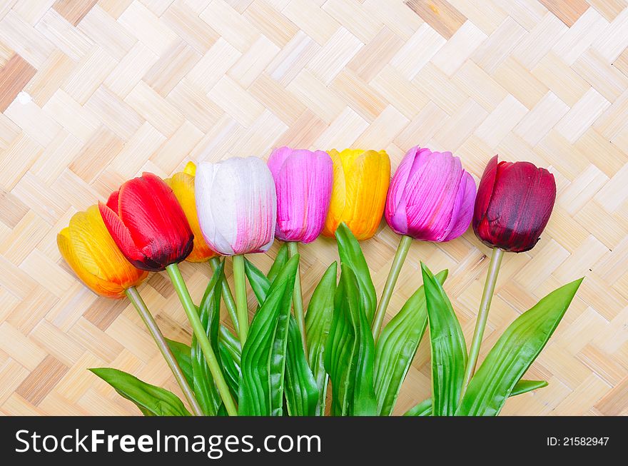 Colorful Tulip flowers on bamboo background