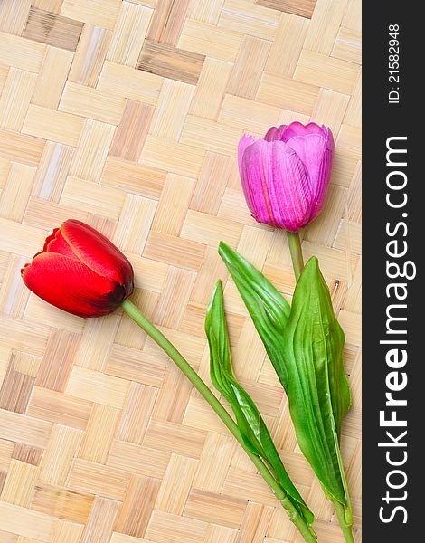 Red and pink Tulip flowers on bamboo background