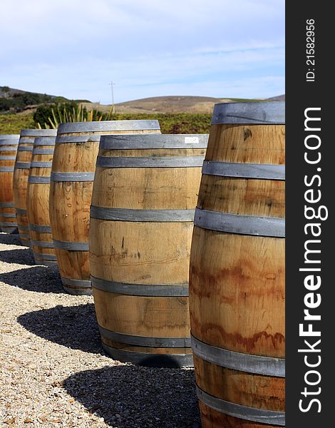 A row of wine barrels, focus on middle barrel, mountains and blue sky in background.