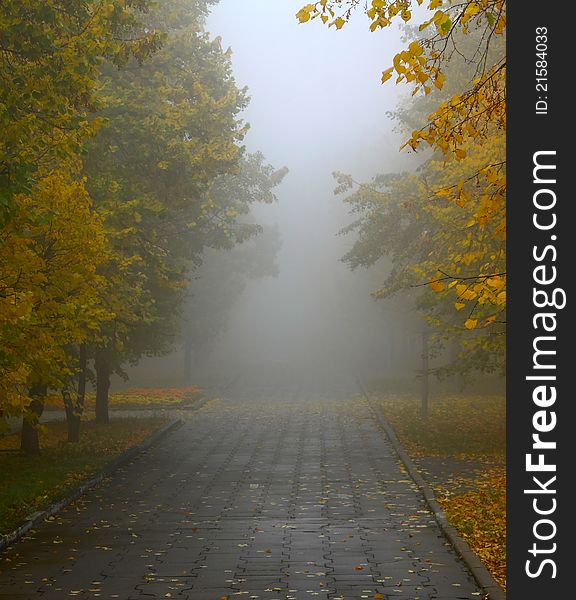 Fog In Autumn Park