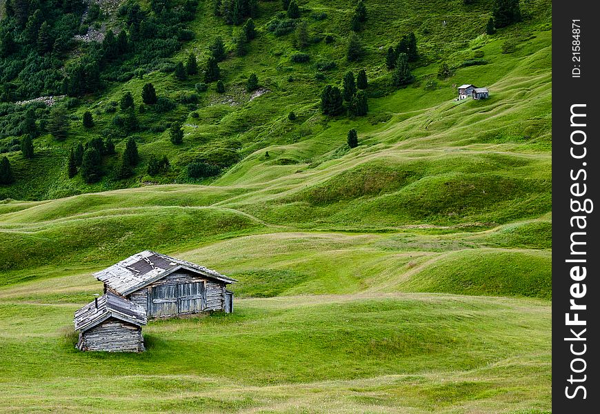 Green Grass And Mountain Huts In Trentino, Italy