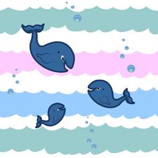 Whales And Waves Stock Photo