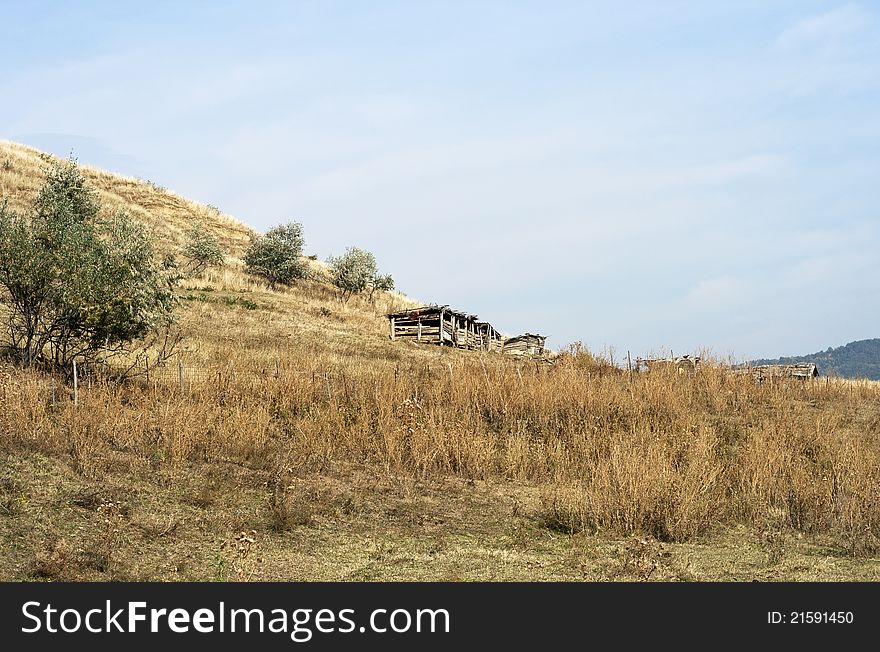 Animals shelter on a hill, raw. Animals shelter on a hill, raw