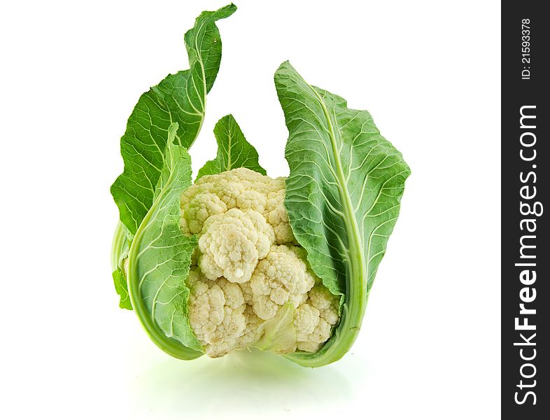 Isolated fresh Cauliflower on a white background